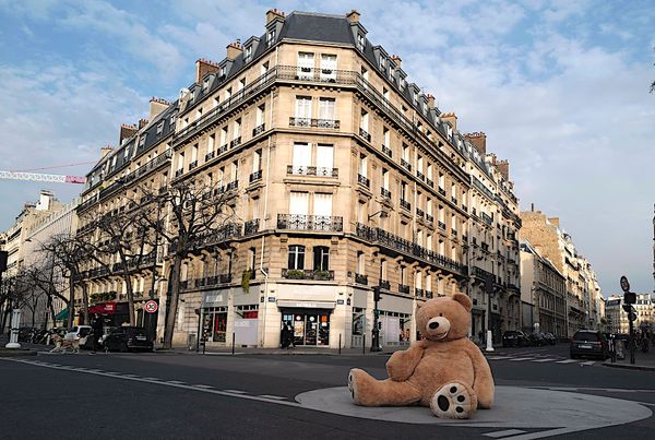 Bookseller Keeps Paris Plush with Teddy Bears