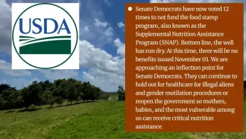 USDA Website Sparks Outrage by Blaming SNAP Benefits Expiration on Transgender People and Immigrants During Shutdown